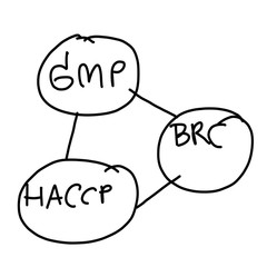 Hand drawn a business system of GMP,BRC,HACCP isolated on white background.
