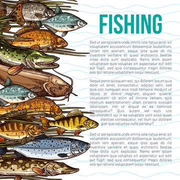 Vector poster for fishing or sea fish product