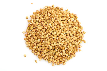 Green buckwheat on a white background