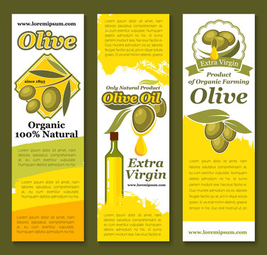 Vectror banners of olives and olive oil