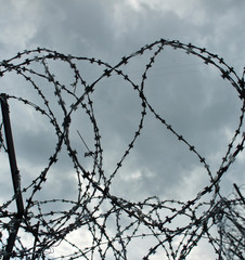 Barbed wire on a cloudy sky background