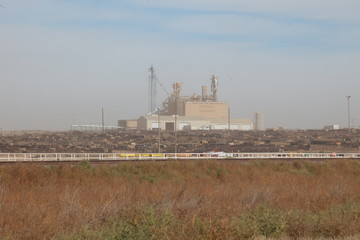 Cattle Methane Pollution 