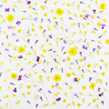 Floral pattern abstract background.