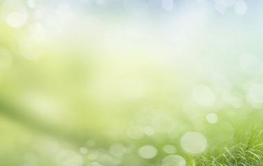 background bokeh