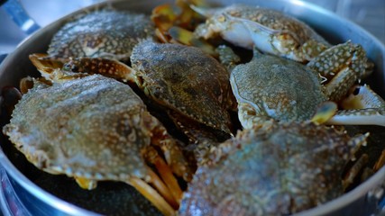 blue crabs in pot for cooking / Flower crab, Blue swimmer crab, Blue manna crab, Sand crab, Portunus pelagicus 