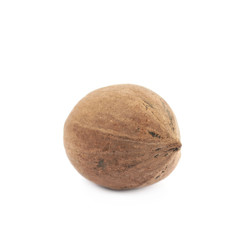 Single pecan nut isolated