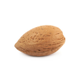 Single almond nut isolated