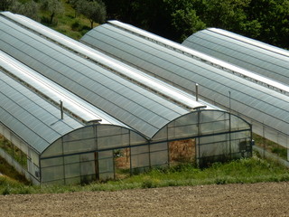Serre climatizzate