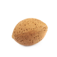 Single almond nut isolated
