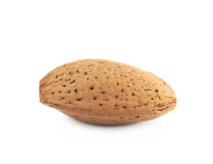 Single almond nut isolated