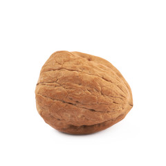Single walnut isolated