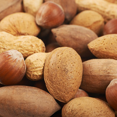 Surface coated with different nuts