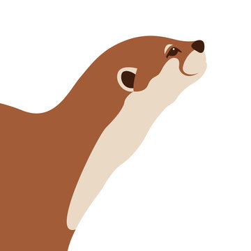 otter vector illustration style Flat