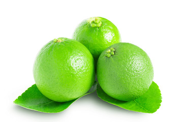 Green lemon three with green leaves isolated on white background.