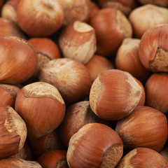 Surface coated with hazelnuts