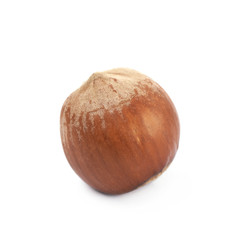 Single hazelnut isolated