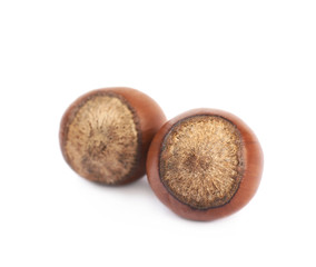 Two hazelnuts isolated