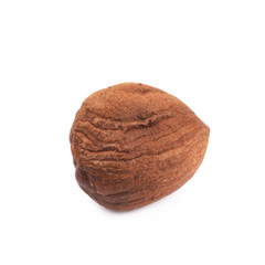 Single hazelnut isolated