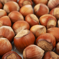 Surface coated with hazelnuts