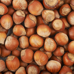 Surface coated with hazelnuts