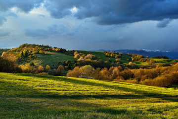 Fototapeta premium Spring forest and meadows landscape in Slovakia. Coming storm panorama. Blooming cherry trees. Sunlit country.