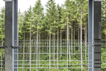 Obraz premium wald hinter gitter