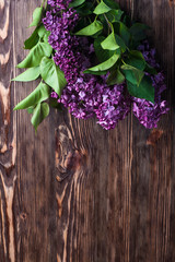 Lilac flowers background
