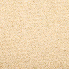 Fragment of a loofa sponge