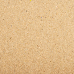 Brown cardboard fragment