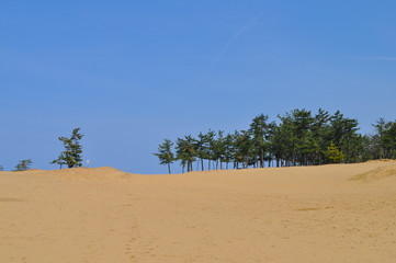 Tottori dune in Japan