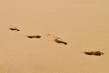 Footprint of the desert