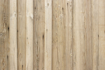 ivory wood texture. Background light old wooden panels