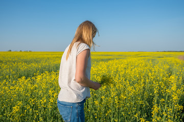 Naklejka na ściany i meble Girl, blonde collects yellow flowers in a field under a blue sky
