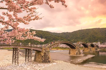 Acrylic prints Kintai Bridge Cherry blossom Full Bloom at Kintaikyo Bridge