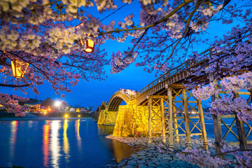 Cherry blossom Full Bloom at Kintaikyo Bridge