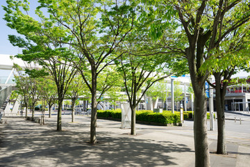 ビジネスビル街