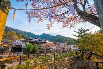 Fototapeta premium Old village withe sakura in Miyajima