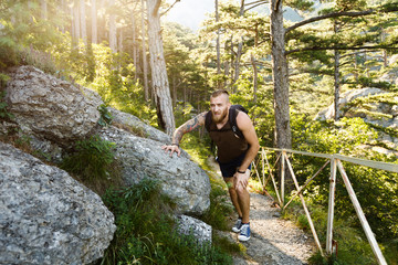 Hikers walk on asunny mountain forest trail