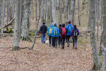 Group of young people walking by hiking trail