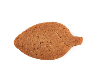 Fresh baked ginger cookie isolated
