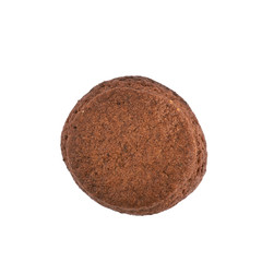 Fresh baked ginger cookie isolated