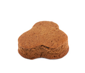 Fresh baked ginger cookie isolated