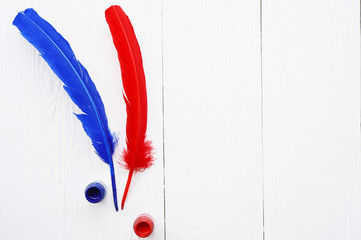 red and blue feather with ink isolated on white background