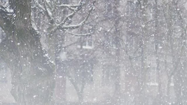 blurred background of snow falling in winter, 180fps prores footage