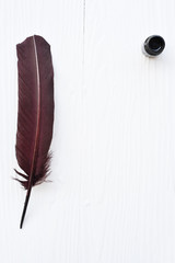 brown feather and ink isolated on white background