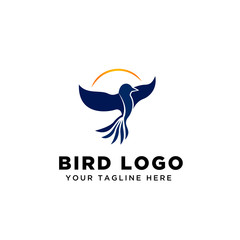 bird fly