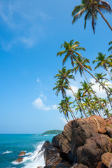Tropical coast at remote island with palm trees wave crushing into rocks