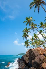 Peel and stick wall murals Tropical beach Tropical coast at remote island with palm trees wave crushing into rocks