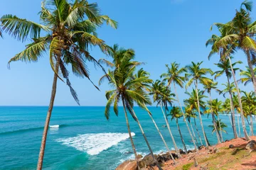 Velvet curtains Tropical beach Palms on tropical island coast
