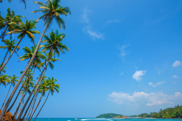 Fototapeta na wymiar Palm trees on tropical ocean shore